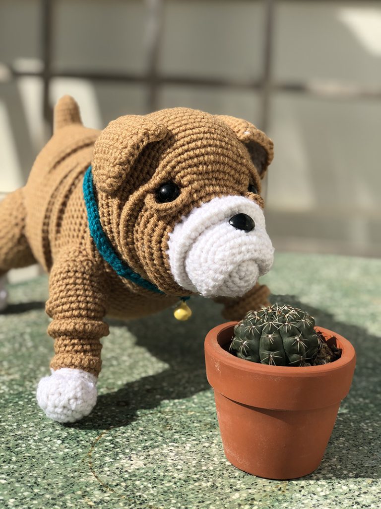 Chó Puppy